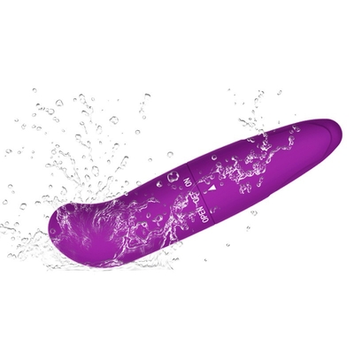 sesso Toy Waterproof Vibrator For Women del vibratore del punto G di vibrazione della pallottola di 50g IPX5