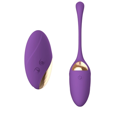 Vibratore di vibrazione di Toy Remote Control Love Egg del sesso delle uova della radio della ricarica di USB