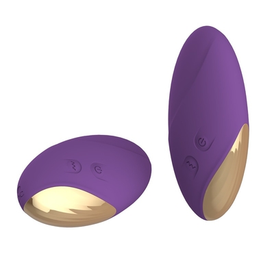 Caricatore purulento del Usb del vibratore della pallottola del vibratore del silicone del grado medico delle uova della vagina