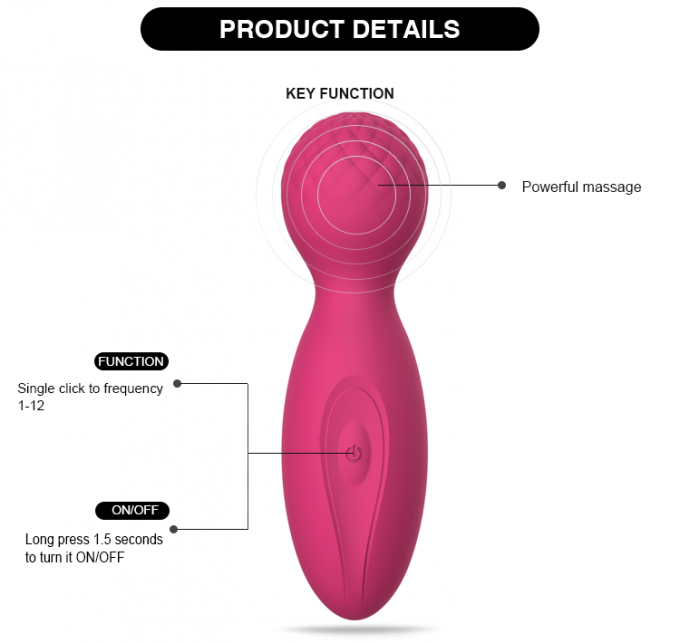 Massaggiatore del corpo dell'edizione di amore della bacchetta del corpo di vibrazione di G del silicone del raso di 10 funzioni mini