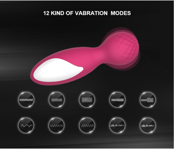 Massaggiatore del corpo dell'edizione di amore della bacchetta del corpo di vibrazione di G del silicone del raso di 10 funzioni mini